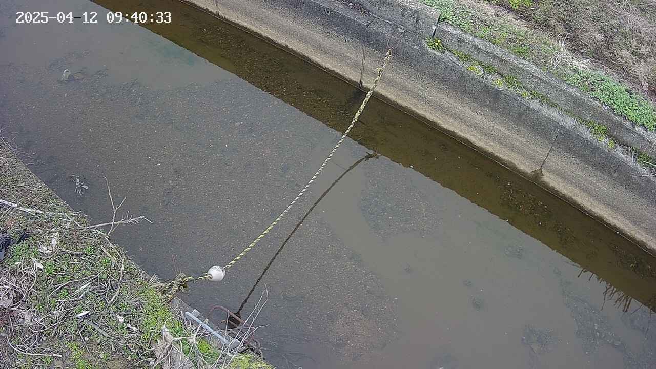 area10-20250412094034.jpg