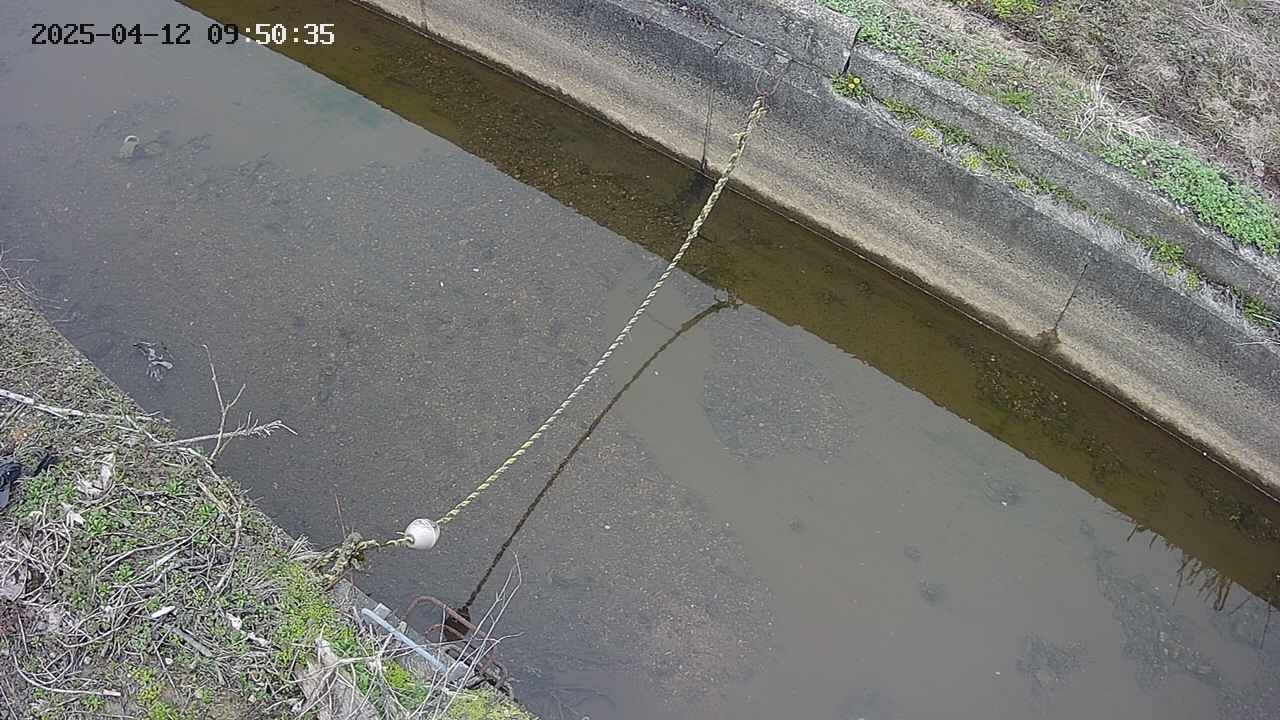 area10-20250412095035.jpg