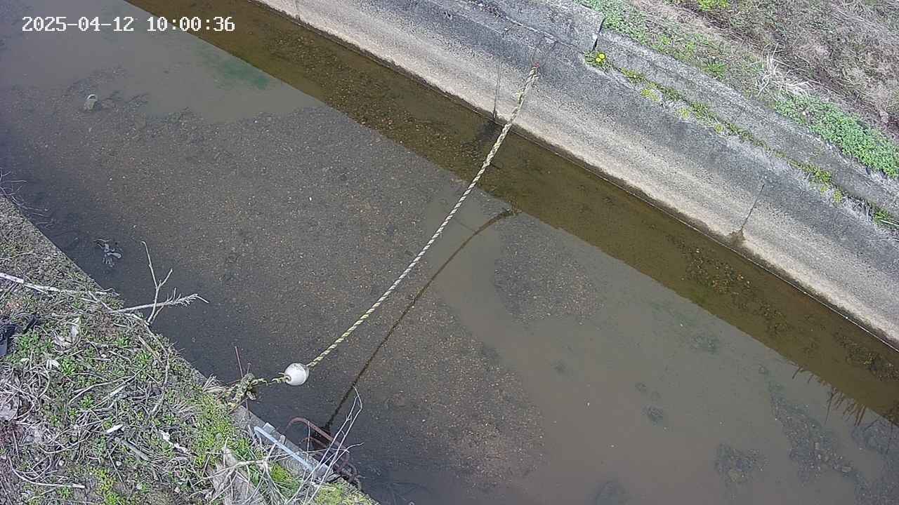 area10-20250412100037.jpg