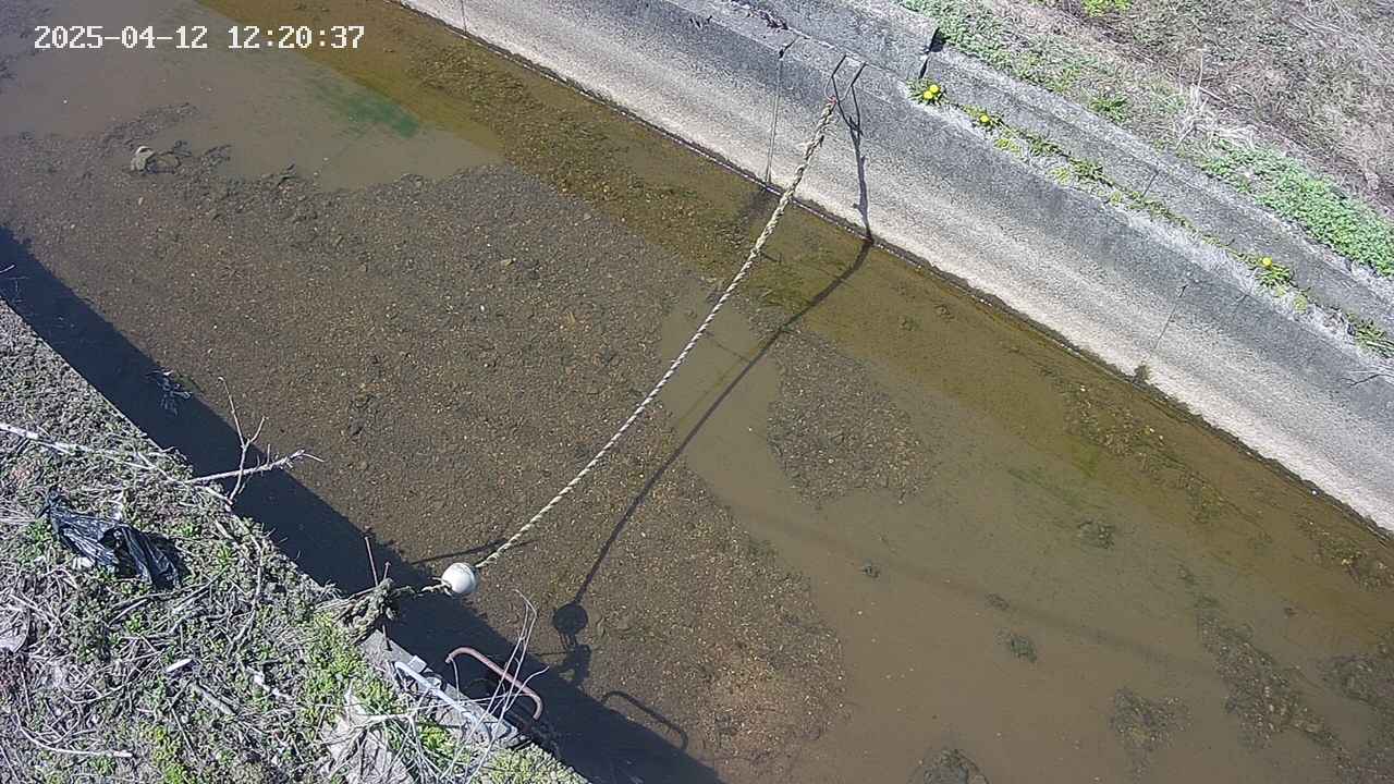 area10-20250412122038.jpg