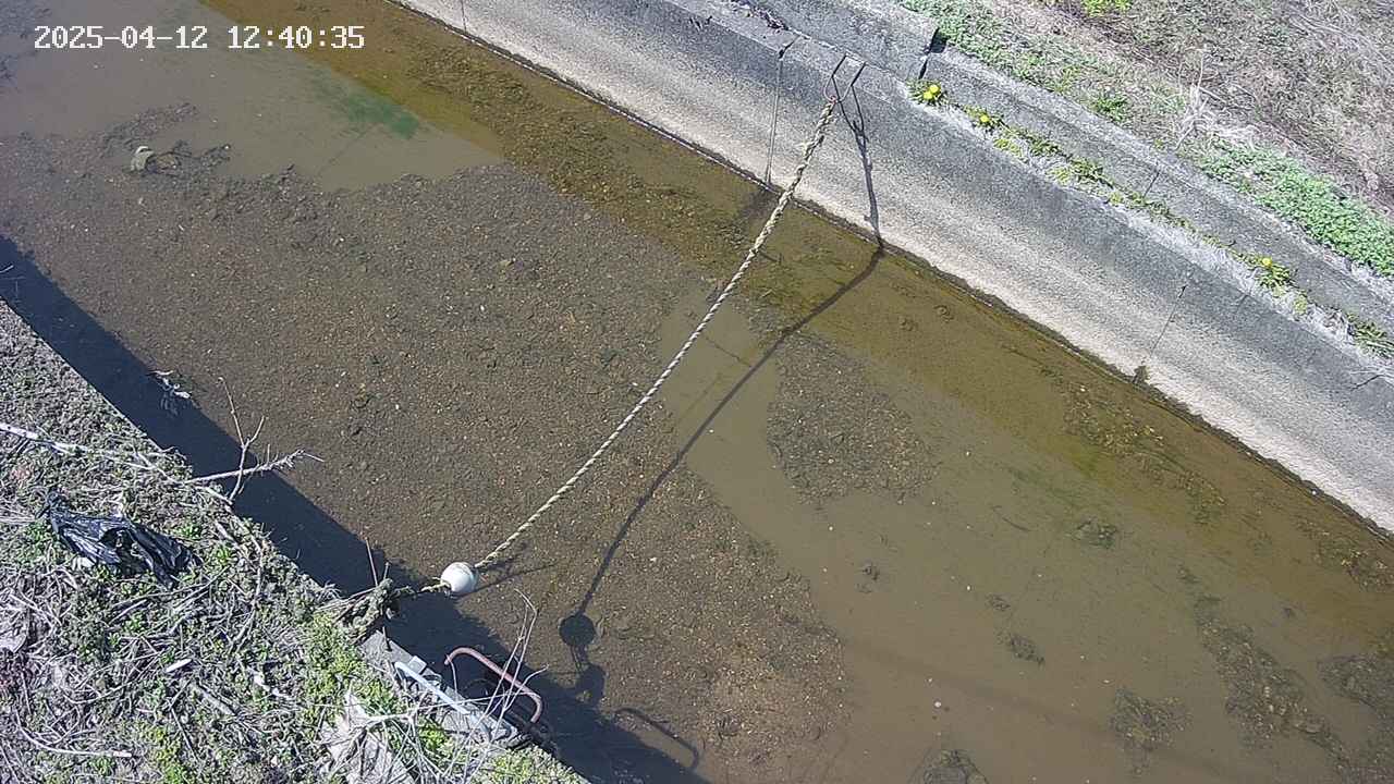 area10-20250412124036.jpg