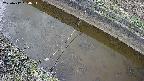 area10-20250412150035.jpg