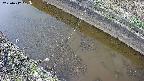 area10-20250412151034.jpg