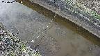 area10-20250412154037.jpg
