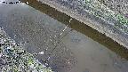 area10-20250412155037.jpg