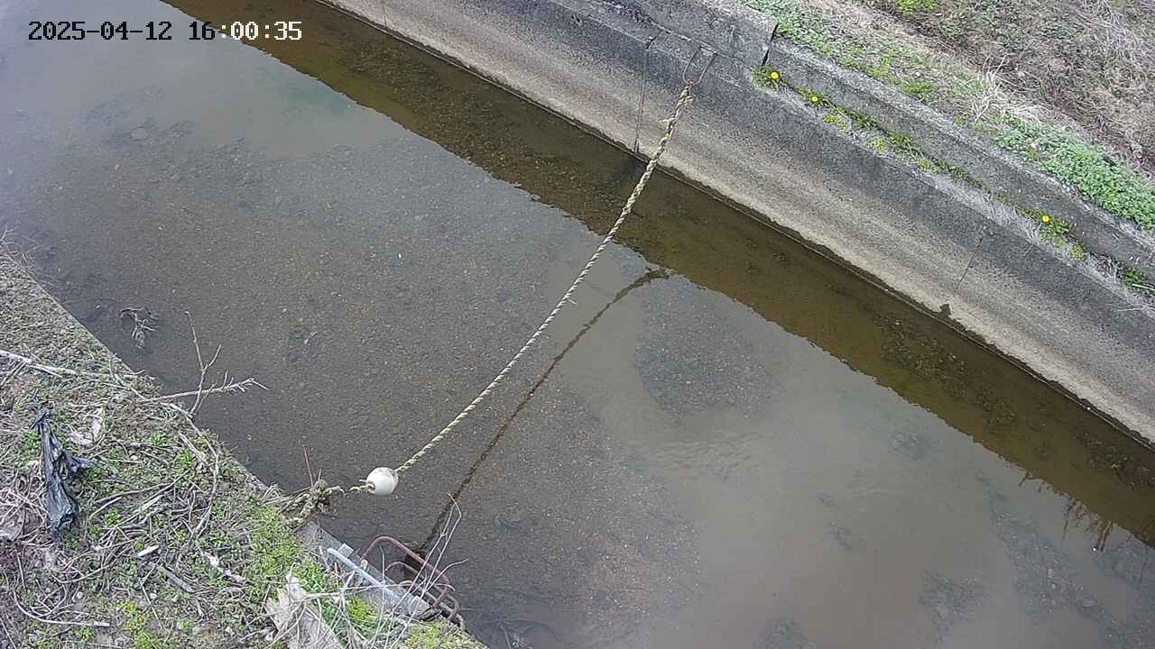 area10-20250412160037.jpg
