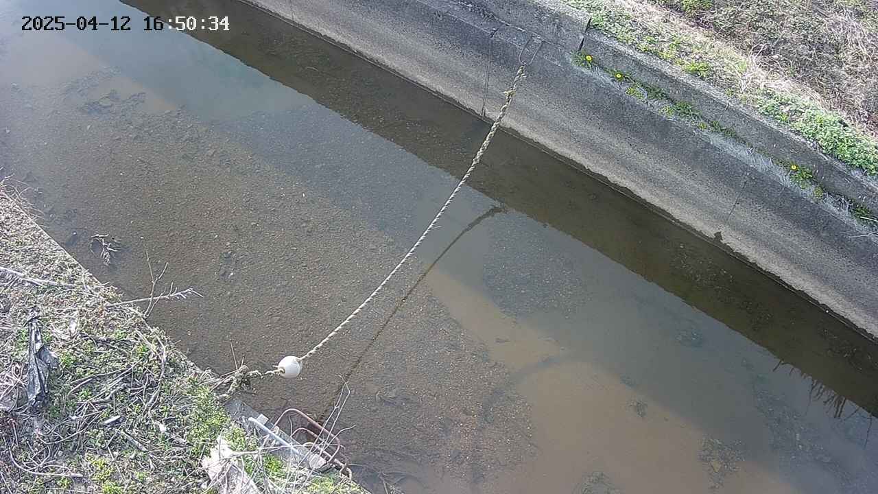 area10-20250412165035.jpg