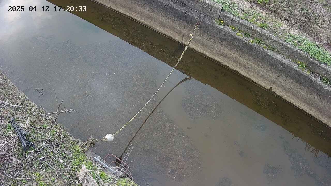 area10-20250412172035.jpg