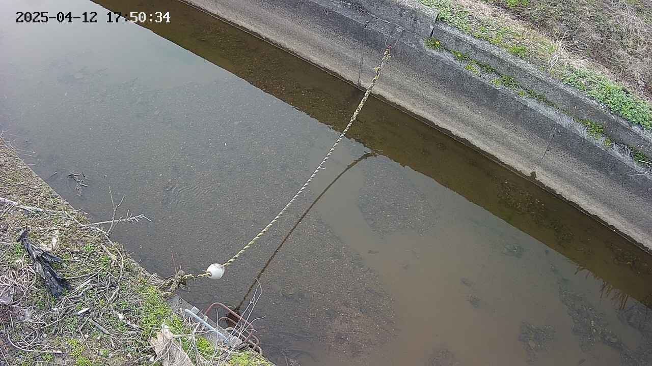 area10-20250412175036.jpg