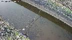 area10-20250412180035.jpg