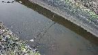 area10-20250412182034.jpg
