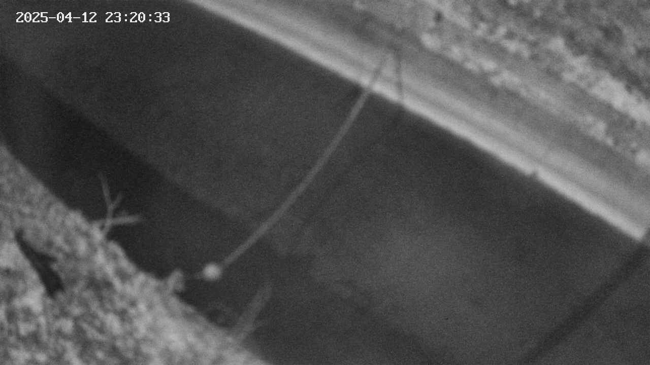 area10-20250412232035.jpg