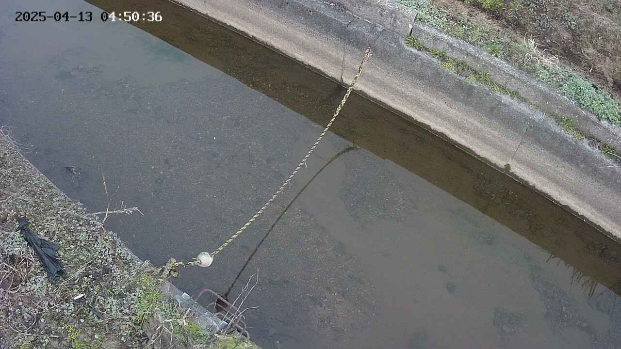 area10-20250413045037.jpg