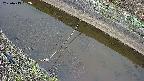 area10-20250413052036.jpg