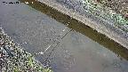 area10-20250413055035.jpg