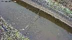 area10-20250413065035.jpg