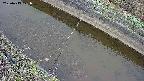 area10-20250413071033.jpg