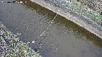 area10-20250413074035.jpg