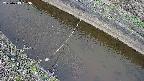 area10-20250413083037.jpg