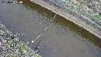 area10-20250413084036.jpg