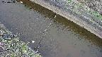 area10-20250413085036.jpg
