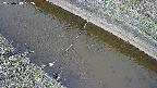 area10-20250413092034.jpg