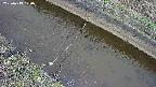 area10-20250413100036.jpg