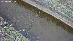 area10-20250413102036.jpg