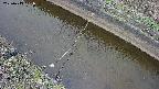 area10-20250413111036.jpg