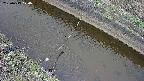 area10-20250413120036.jpg