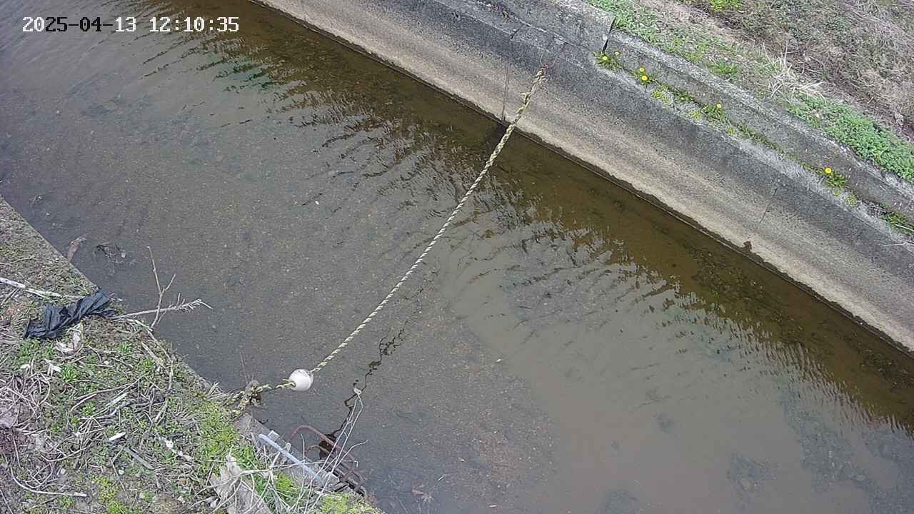 area10-20250413121036.jpg