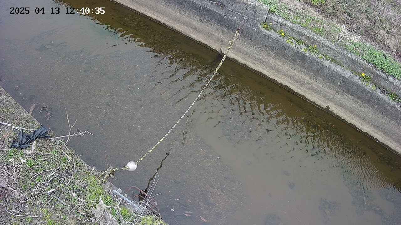 area10-20250413124036.jpg