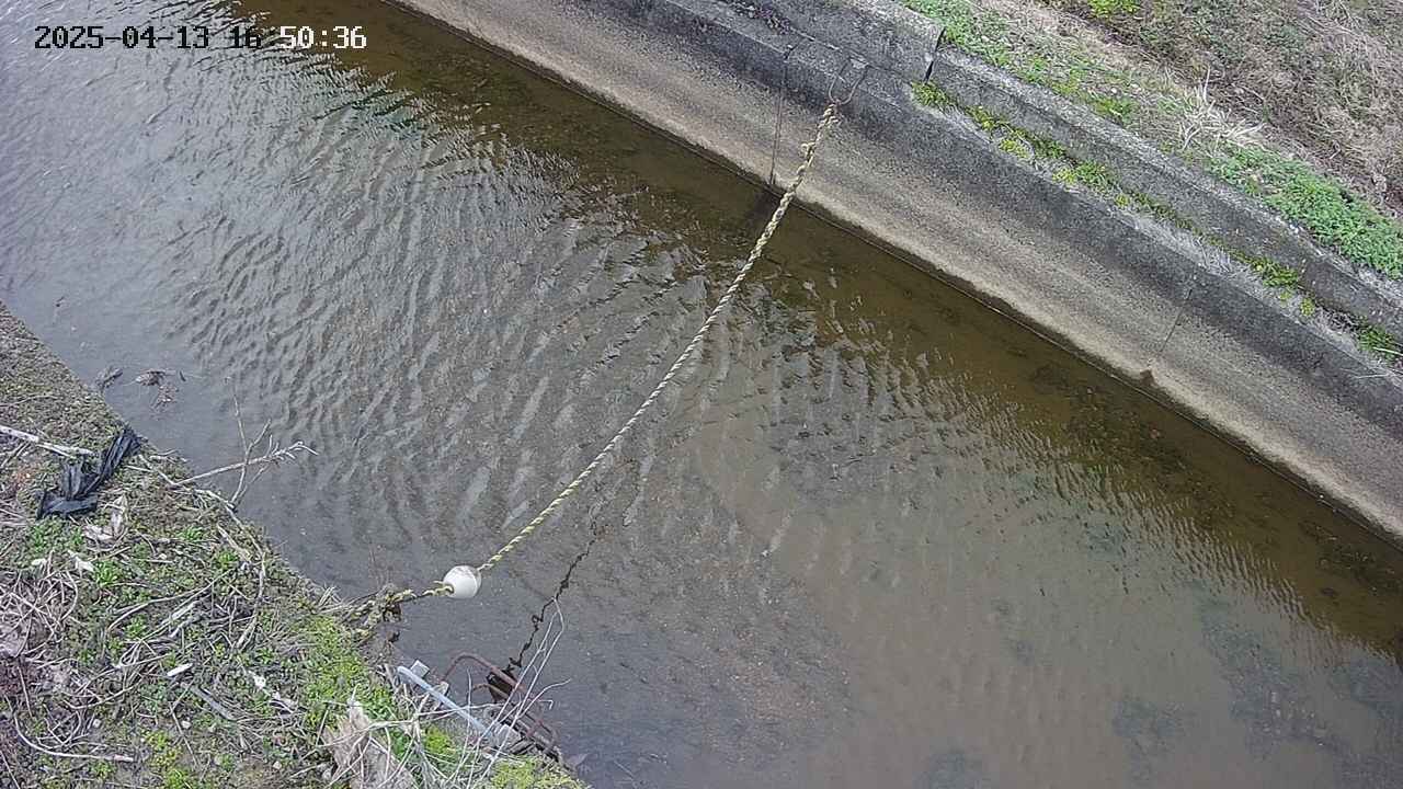 area10-20250413165038.jpg