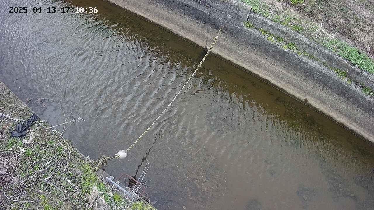 area10-20250413171037.jpg