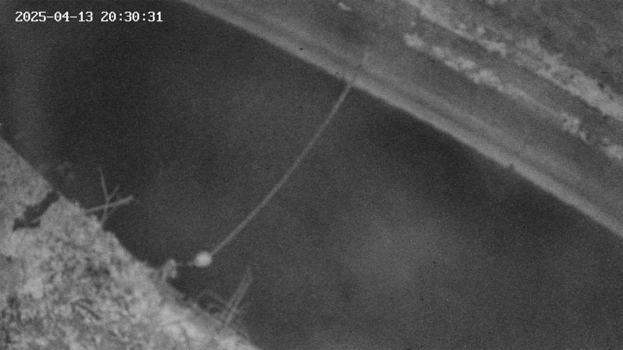 area10-20250413203033.jpg