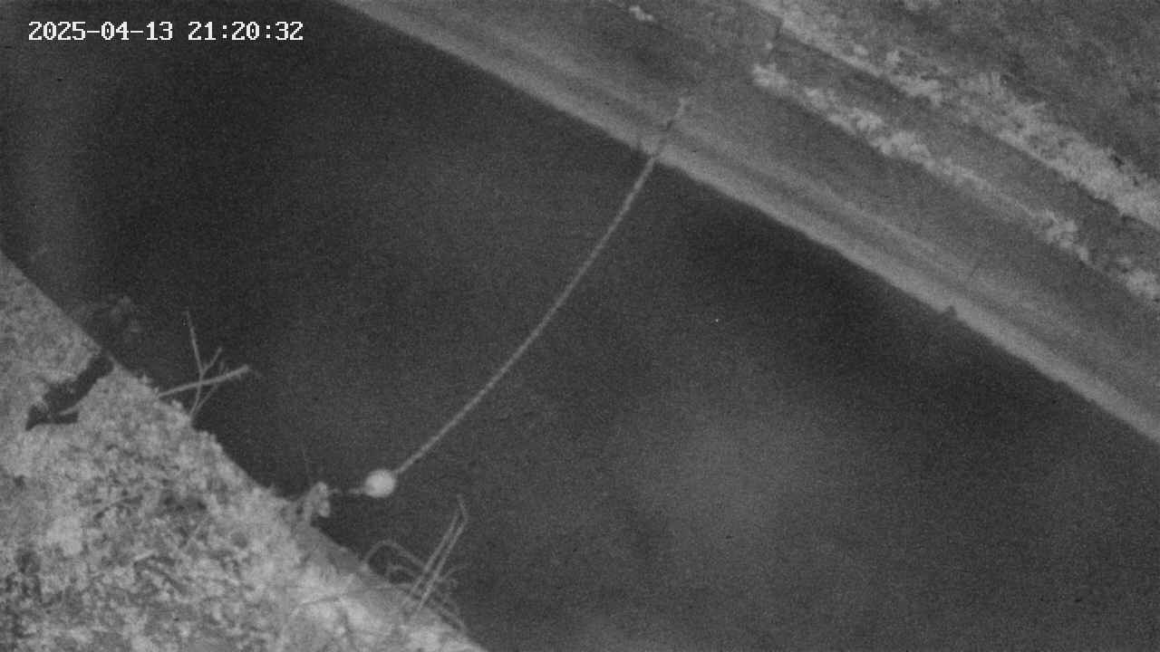 area10-20250413212034.jpg