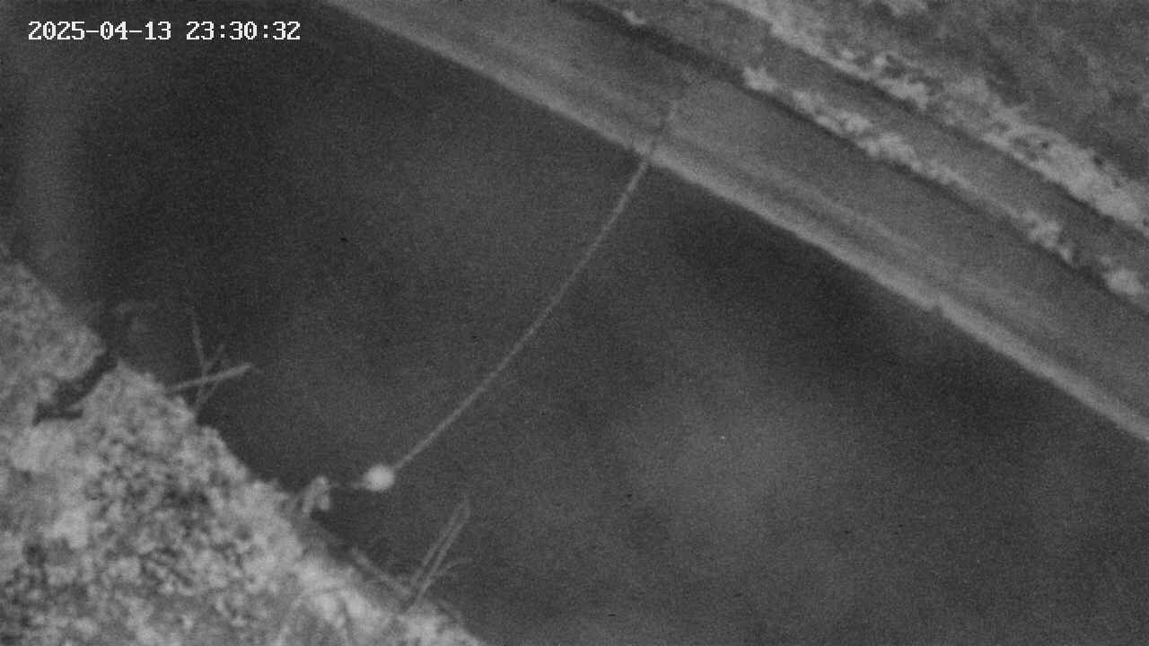 area10-20250413233034.jpg