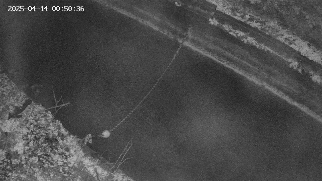 area10-20250414005038.jpg