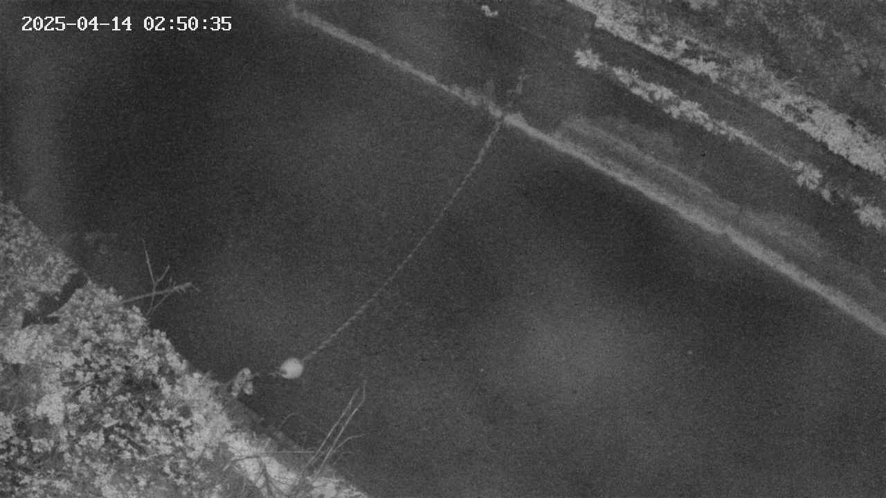 area10-20250414025037.jpg