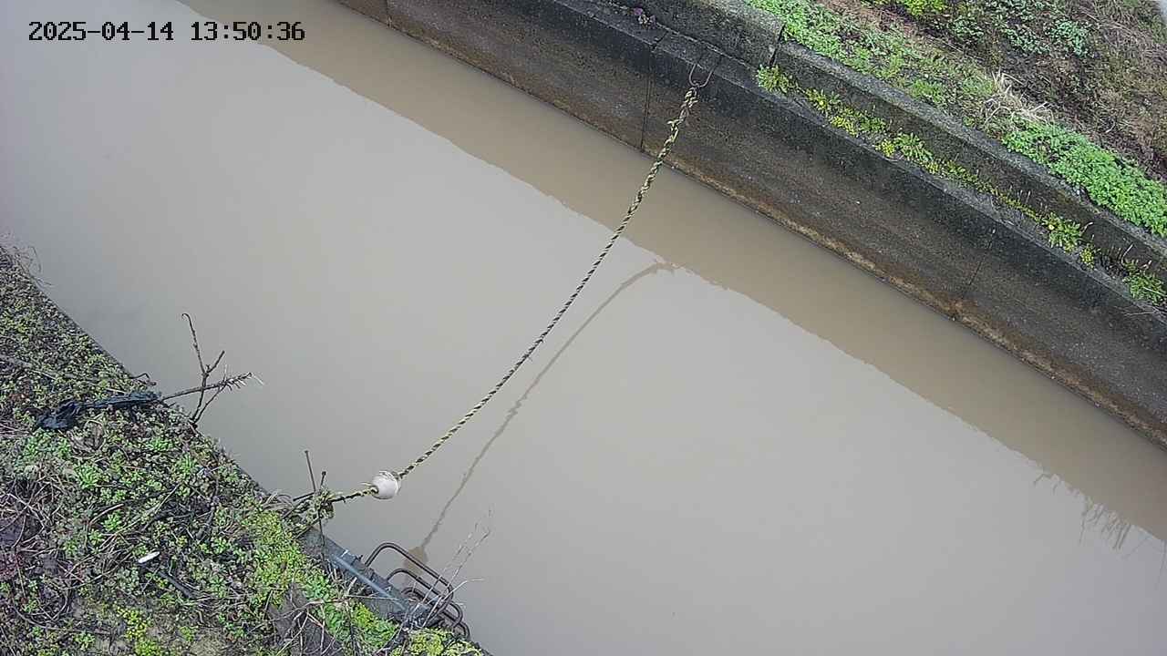 area10-20250414135037.jpg
