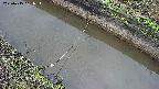 area10-20250415051035.jpg
