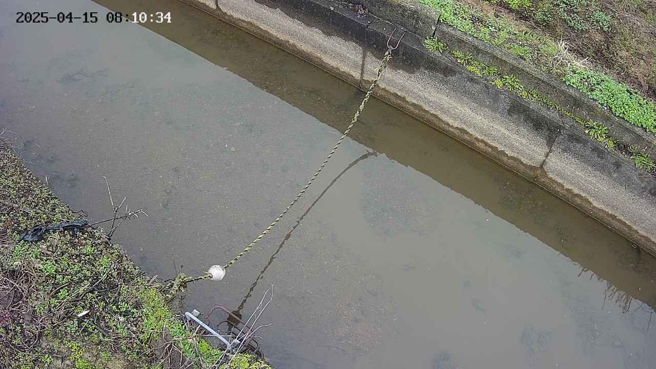 area10-20250415081035.jpg