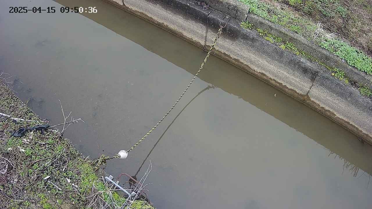 area10-20250415095037.jpg