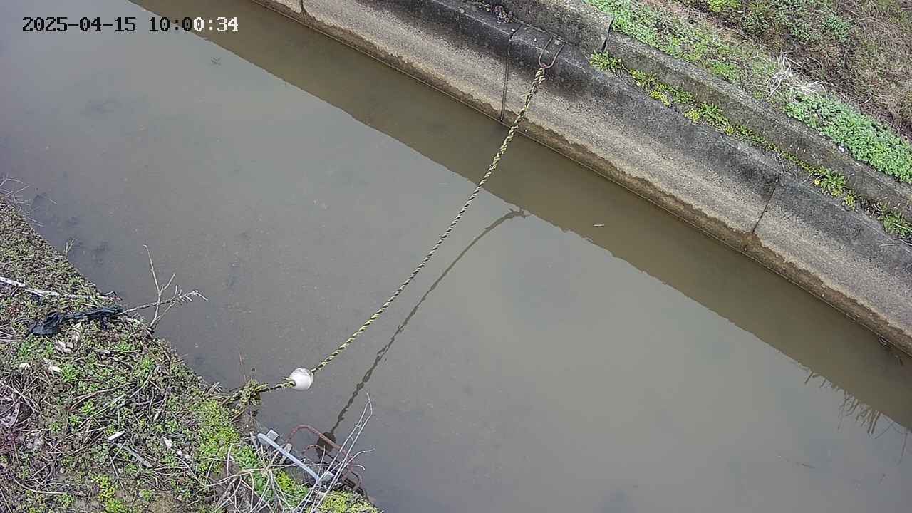 area10-20250415100034.jpg