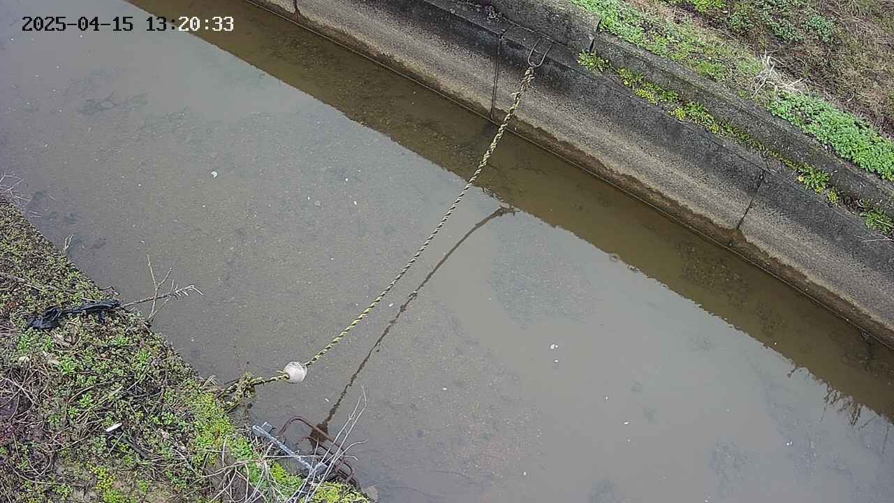 area10-20250415132034.jpg