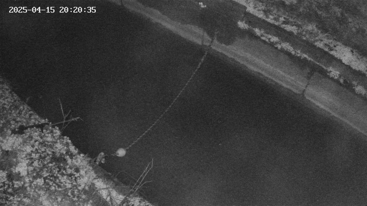 area10-20250415202037.jpg