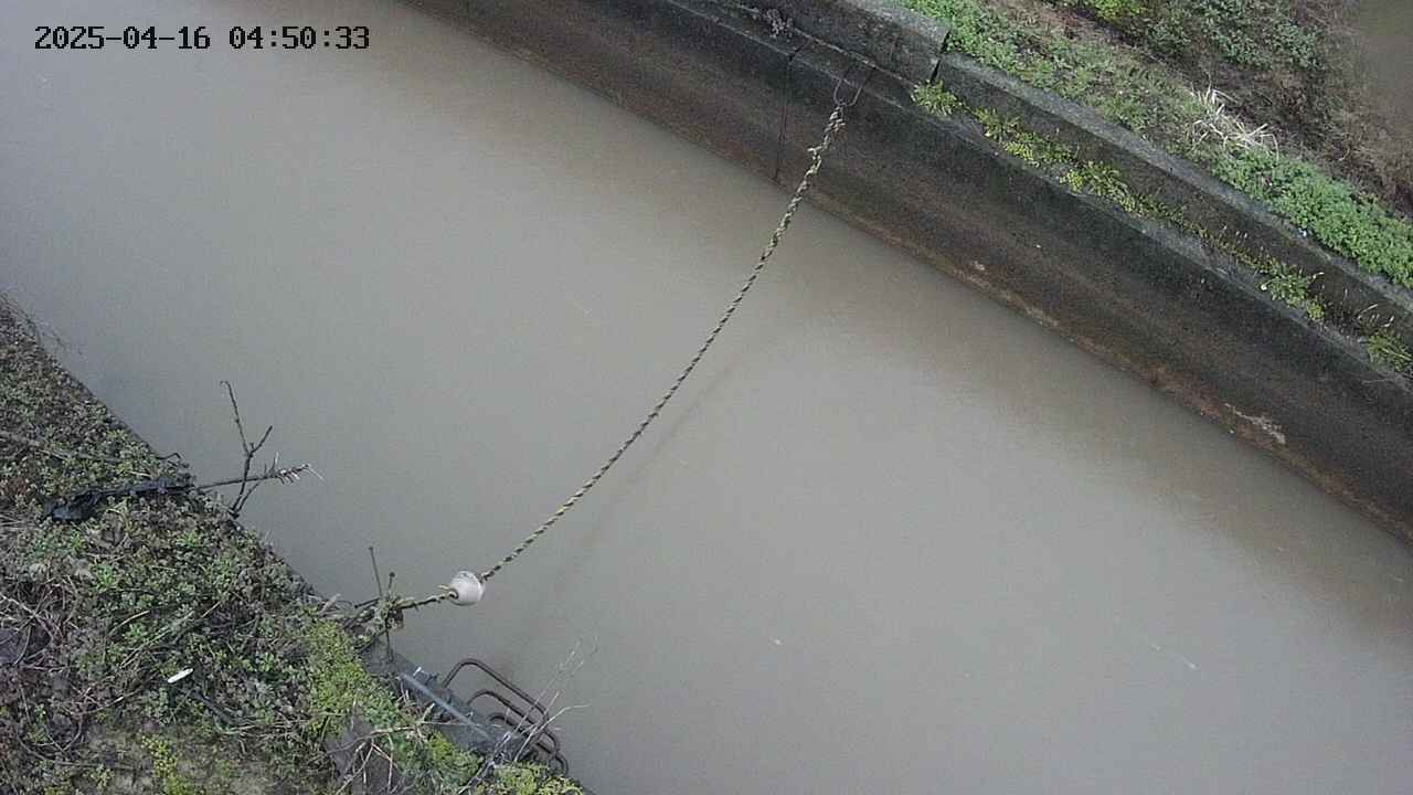 area10-20250416045033.jpg