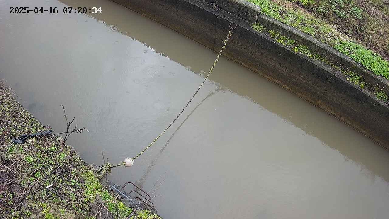 area10-20250416072035.jpg