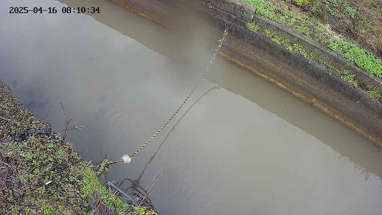 area10-20250416081035.jpg