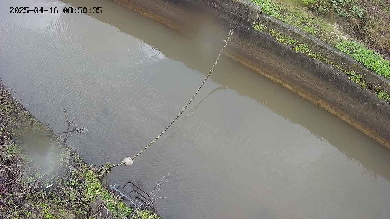 area10-20250416085036.jpg